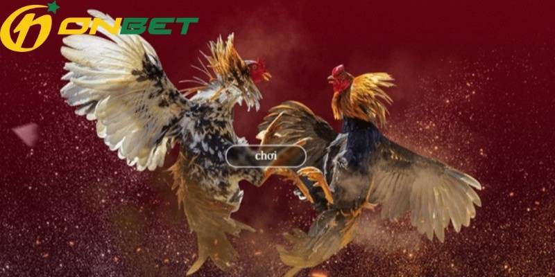 Hướng dẫn đăng ký tham gia cá cược đá gà ONBET 